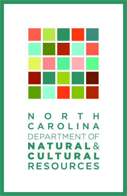 NCR Logo