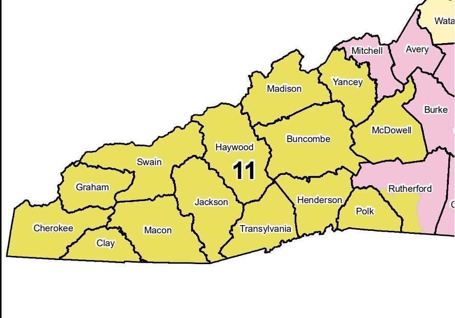 Congressional District 11 in 2020.