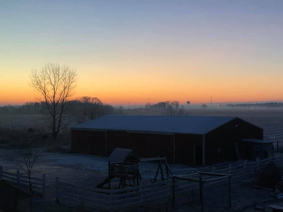 Photo by Carolina Journal, Britt Family Farm